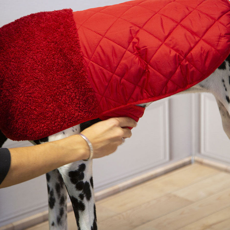 Outech Bi-Texture Abrigo Rojo para perros, , large Imagen numero 7